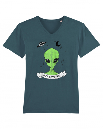 Alien Stay Weird Stargazer