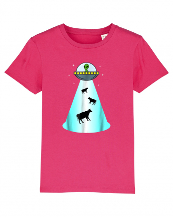 Alien UFO Cow Abduction Raspberry