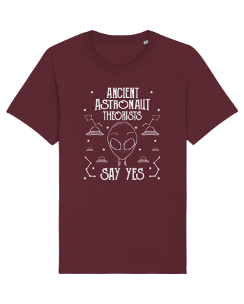 Ancient Astronaut Theorists Burgundy