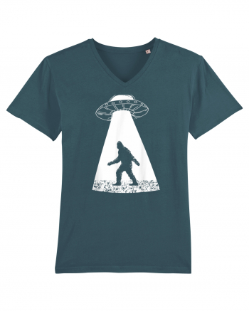 Bigfoot UFO Abduction Stargazer