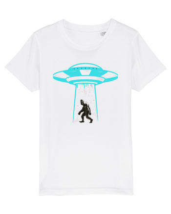 Bigfoot UFO Abduction White