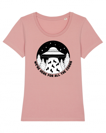 Corgi Lover UFO Alien Abduction Canyon Pink