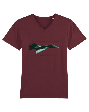 Origami Plane Burgundy