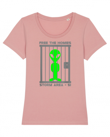 Free The Homies Jail Area 51 Canyon Pink