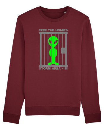 Free The Homies Jail Area 51 Burgundy