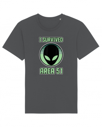 Funny Storm Area 51 Survived Alien Raid Anthracite