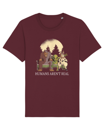Humans Aren't Real Burgundy