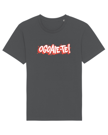 Ogoaie-te II Anthracite