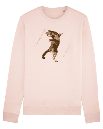 Cat Fu Fighting Candy Pink