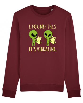 I Found This It's Vibrating Funny Alien Cat Burgundy