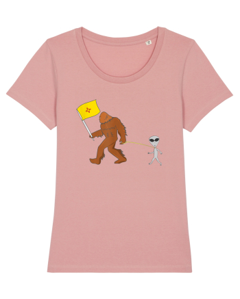New Mexico Flag Bigfoot Walking Alien Canyon Pink