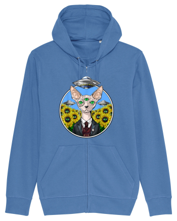 Psychedelic Hairless Sphynx Cat Bright Blue