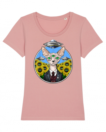 Psychedelic Hairless Sphynx Cat Canyon Pink