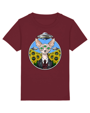 Psychedelic Hairless Sphynx Cat Burgundy