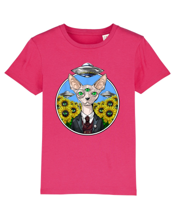 Psychedelic Hairless Sphynx Cat Raspberry