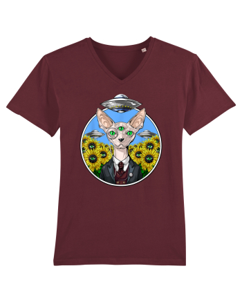 Psychedelic Hairless Sphynx Cat Burgundy
