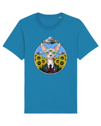 Psychedelic Hairless Sphynx Cat Azur