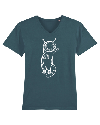Space Cat Kitty Lovers Stargazer