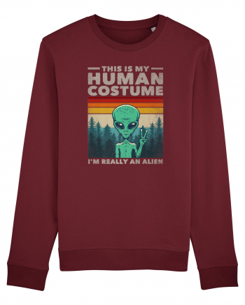 This Is My Human Costume I'm Really An Alien Burgundy