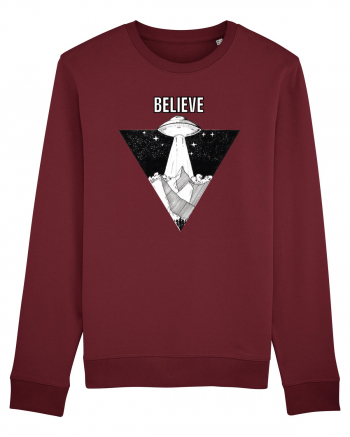 UFO Believe Alien Abduction Burgundy