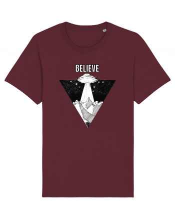 UFO Believe Alien Abduction Burgundy