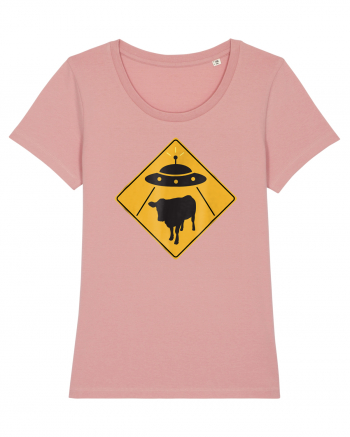 UFO Cow Abduction Warning Sign Canyon Pink