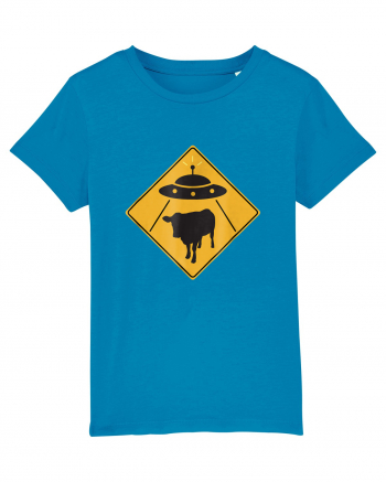 UFO Cow Abduction Warning Sign Azur