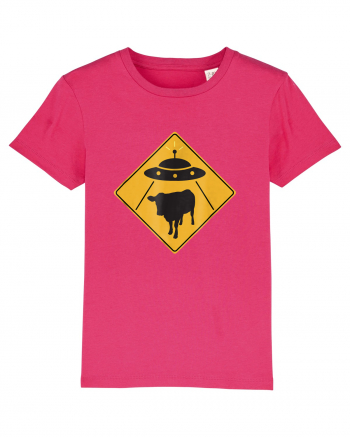 UFO Cow Abduction Warning Sign Raspberry