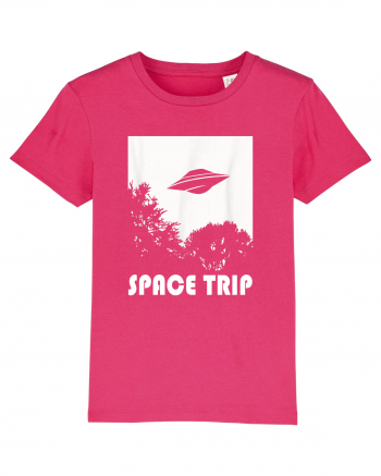 UFO Space Trip Raspberry