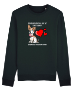 Crezi in dragoste la prima vedere SAU mai trec odata? Bluză mânecă lungă Unisex Rise