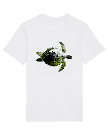 Green Turtle White