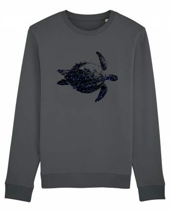 Electric turtle Anthracite