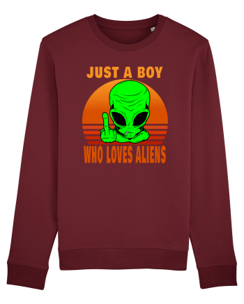 Just A Boy Who Loves Aliens Burgundy