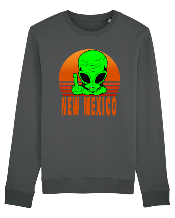 New Mexico Area 51 Alien Anthracite