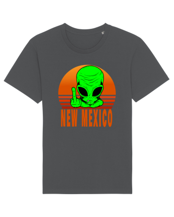 New Mexico Area 51 Alien Anthracite