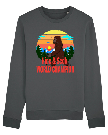 Bigfoot Hide & Seek World Champion Anthracite