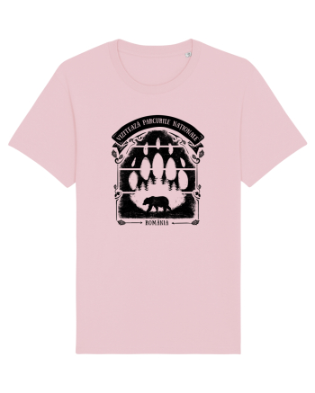 Vizitează Parcurile Naționale din România Cotton Pink