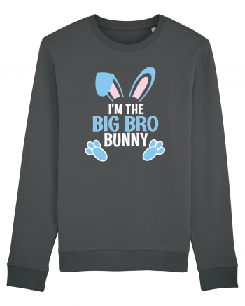 Eu sunt fratele mai mare iepurele de Paste. I'm the Big Bro Bunny Anthracite