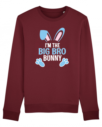 Eu sunt fratele mai mare iepurele de Paste. I'm the Big Bro Bunny Burgundy