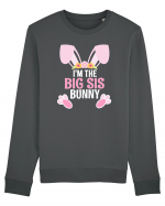 Sora mai mare tricou de Paste. I'm the Big Sis Bunny Bluză mânecă lungă Unisex Rise