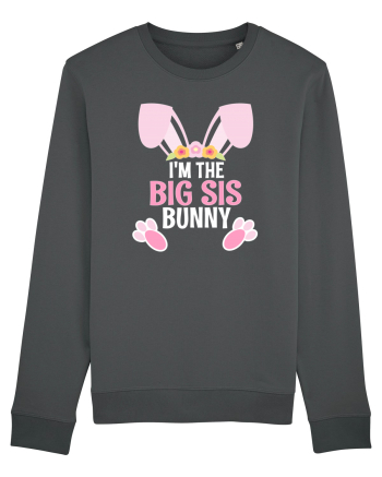 Sora mai mare tricou de Paste. I'm the Big Sis Bunny Anthracite