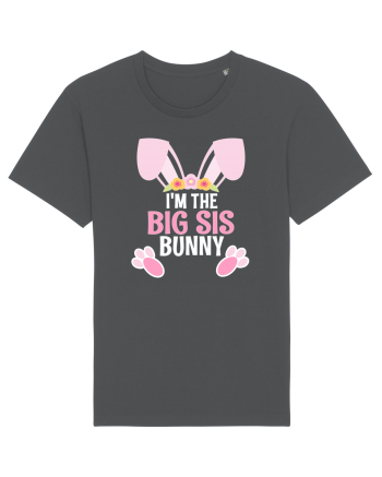 Sora mai mare tricou de Paste. I'm the Big Sis Bunny Anthracite