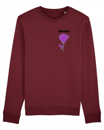 alienboi ROSE Burgundy