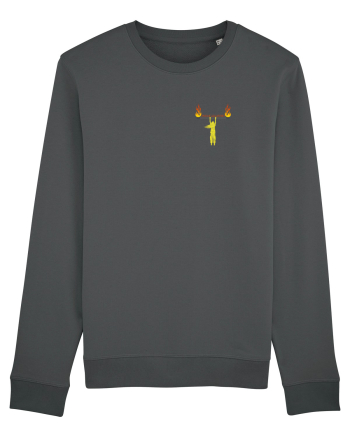 Fire master Anthracite