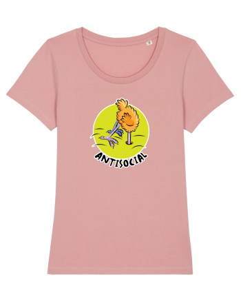 Antisocial Canyon Pink