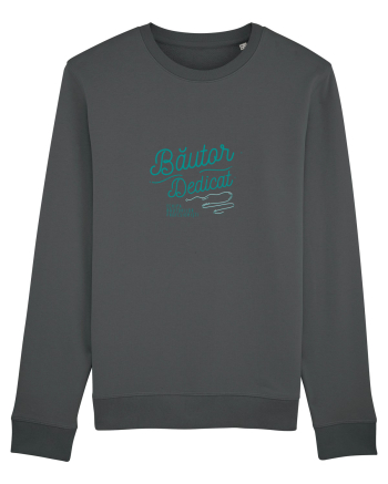 Bautor dedicat Anthracite