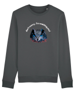 Don't Worry, I'm watching you! Bluză mânecă lungă Unisex Rise