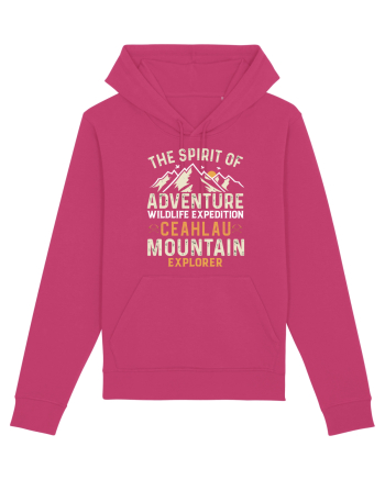 Adventure Ceahlau Mountains Raspberry