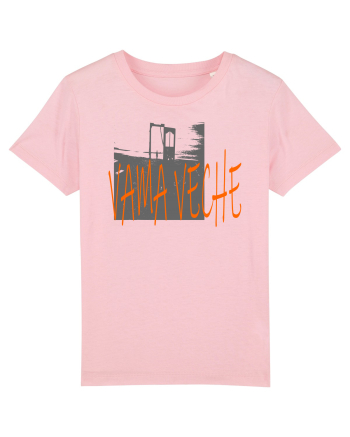 Vama Veche Cotton Pink