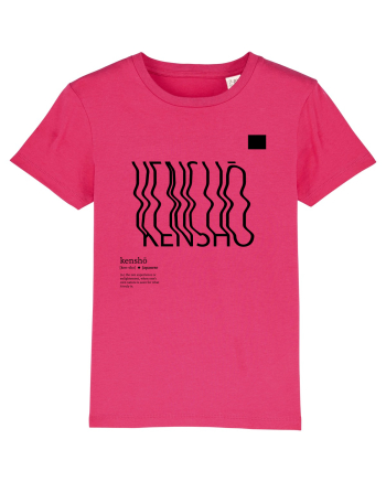 KENSHO -  Zen experience Raspberry
